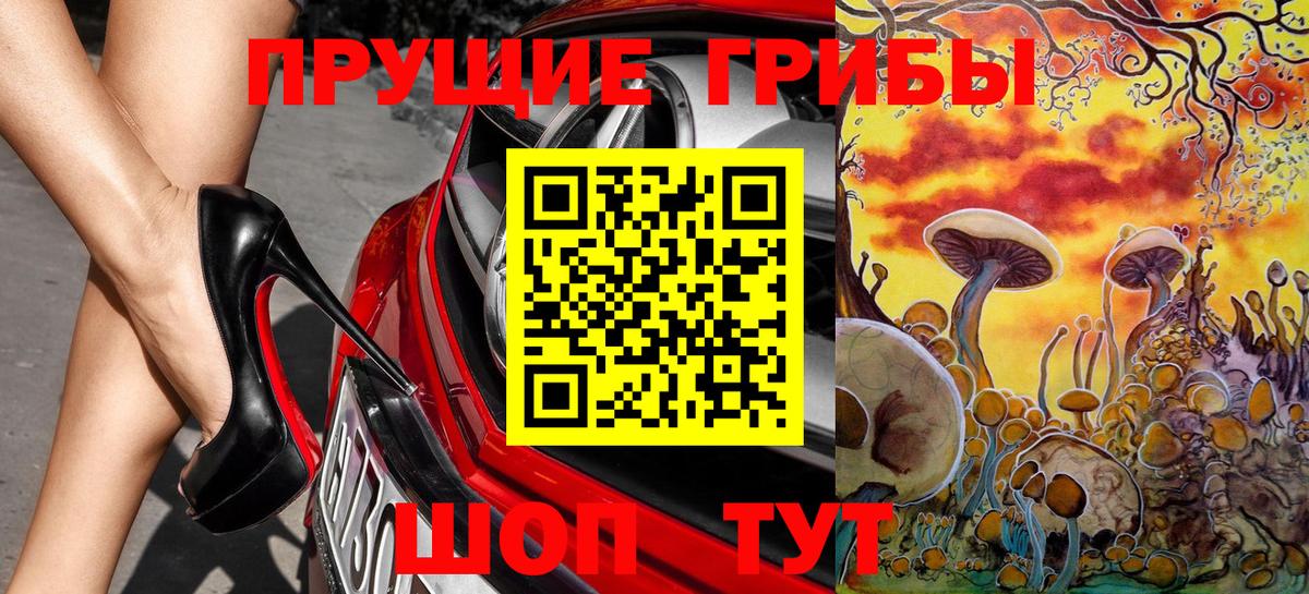 Галлюциногенные грибы Cubensis  Вход с VPN  Заринск 
